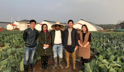 印度蔬菜客户访问欧亿在线